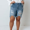 The Camry High Waist Distressed Shorts In Light Wash   Curves Image - 1