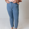 Risen The Jozie High Waist Skinny In Light Wash Curves Image - 1