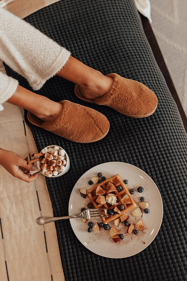 The Tabby Slipper Image - 3