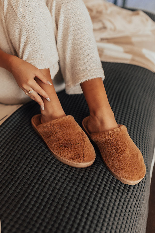 The Tabby Slipper Image - 2