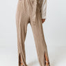 The Saleen Pleated Pants In Iced Latte Image - 1