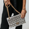 Shimmer And Spice Purse In Silver Image - 1