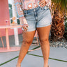 The Wenden High Waist Shorts Curves Image - 1