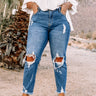 The Sheena High Waist Distressed Jean Curves Image - 1
