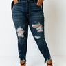 Judy Blue The Torri Midrise Distressed Ankle Jean Curves Image - 1