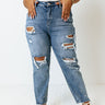 The Mason High Waist Relaxed Skinny Curves Image - 1