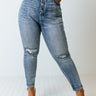 The Carmella High Waist Distressed Skinny Curves Image - 1