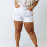 The Mardi High Waist Distressed Shorts Curves Image - 1