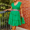 Celebrate Together Smocked Dress In Green Curves Image - 1