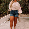 The Cindy High Waist Frayed Shorts Curves Image - 1