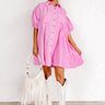 Plain As Day Mini Dress in Pink Image - 1