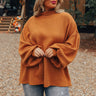 Easy To Style Ribbed Sweater Top in Camel Curves Image - 1