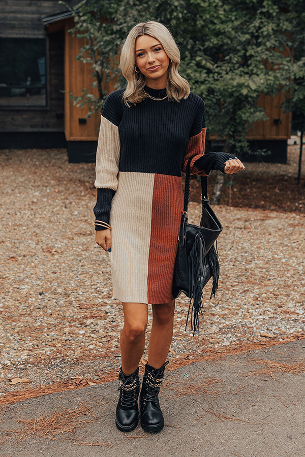 Cozier Than Most Colorblock Sweater Dress Image - 1