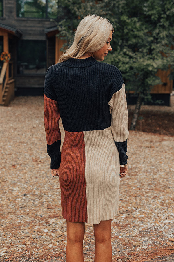 Cozier Than Most Colorblock Sweater Dress Image - 1