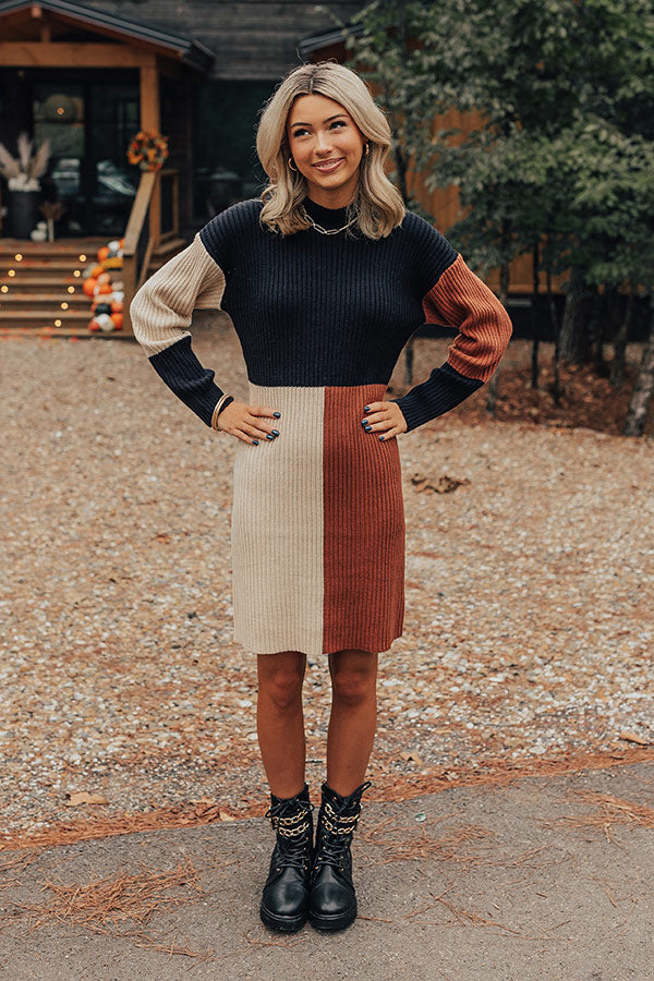 Cozier Than Most Colorblock Sweater Dress Image - 1