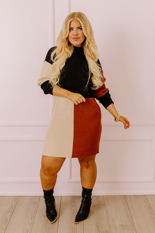 Cozier Than Most Colorblock Sweater Dress Curves