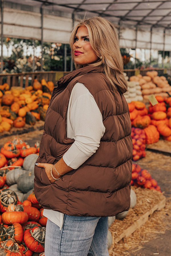 Venture Out Puffer Vest In Chocolate Curves Image - 4