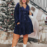 Wine Tasting Velvet Shift Dress In Navy Curves Image - 1